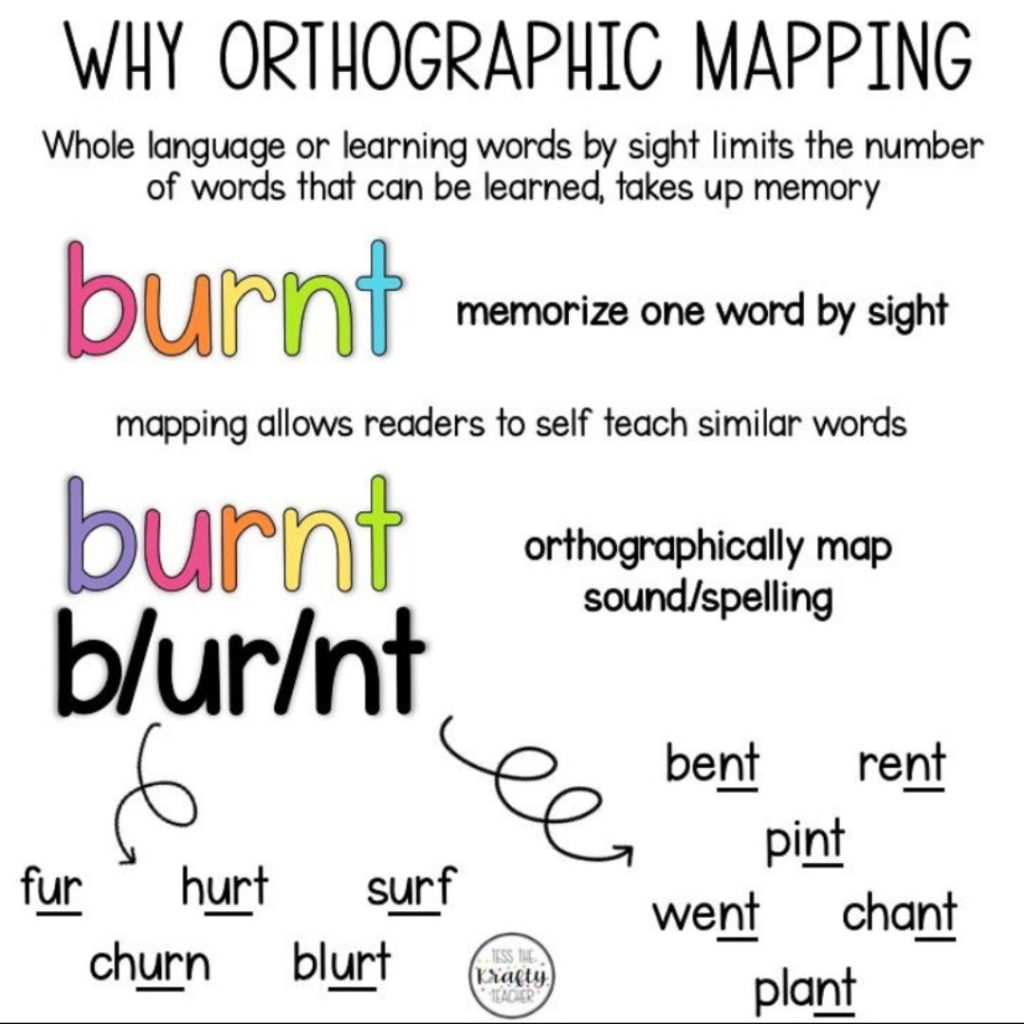Why orthographic mapping infographic